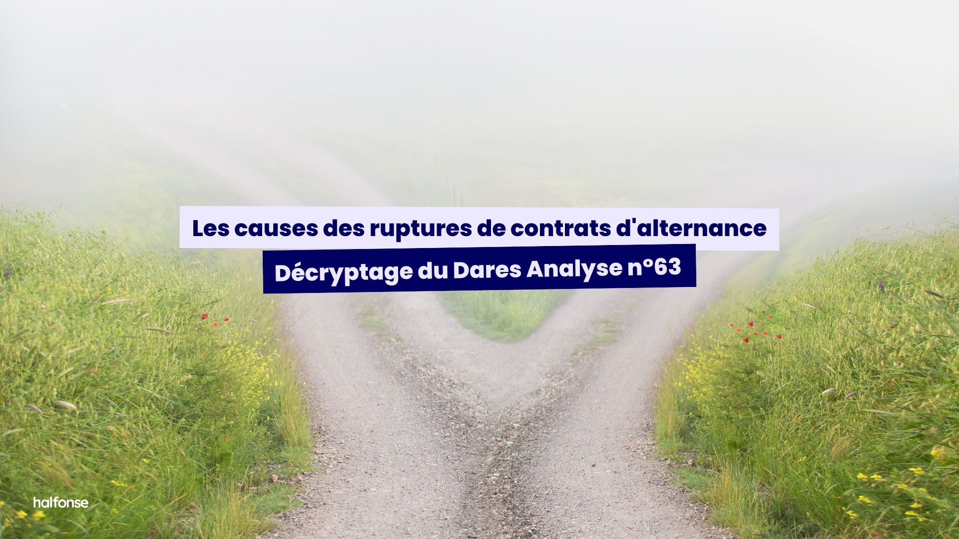 alternance contrats rupture causes